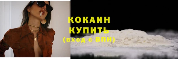 твердый Горняк