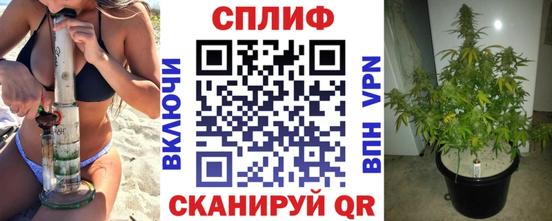 Марихуана план  Купить где  Лагань 